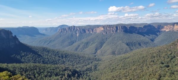 Wild ride australia blue mountains sydney